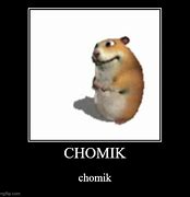 Image result for Chomik Meme