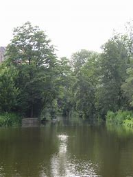 Image result for City Park in Amsterdam