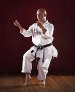 Image result for martial arts master