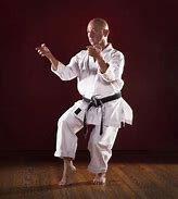 Image result for martial arts master