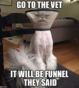 Image result for Funny Cat Vet Meme