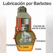 Image result for barboteo