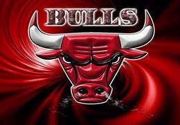 Image result for Cool Bulls Logo