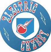 Image result for Electric Man Logo