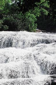 Image result for Amy Waterfall Images
