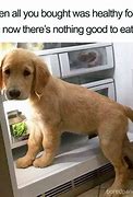 Image result for Animal Diet Meme