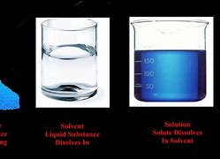 Image result for Difference Between Solute and Solvent