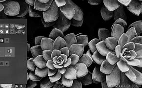 Image result for Black and White Screen