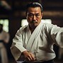 Image result for Japanese Aikido