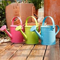 Image result for Galvanized Metal Watering Can