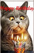 Image result for Funny Birthday Tortoiseshell Cat