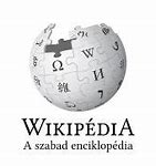 Image result for What Did Wikipedia First Look Like