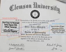 Image result for Diploma Statement