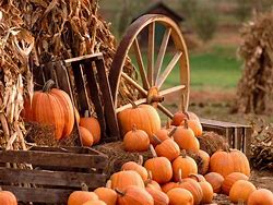 Image result for Autumn Harvest Backgrounds