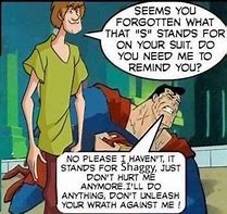 Image result for Shaggy Rogers Meme