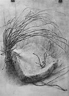Image result for Still Life Graphite Pencil Drawings