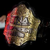 Image result for Impact World Championship