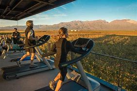Image result for Exercise Images for Resort