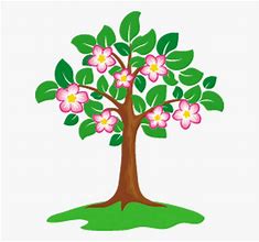 Image result for Scratch Art Flower Tree