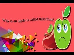 Image result for False Fruit Apple