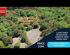 Image result for Hectare Aeiral
