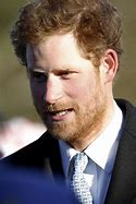 Image result for Prince Harry's Beard