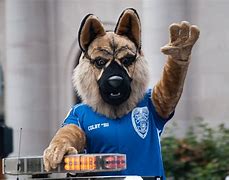 Image result for Tokyo Police Mascot