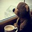 Image result for Funny Animal Coffee Memes