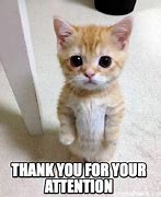 Image result for Thank You for Your Attention Meme