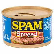 Image result for Spam Container