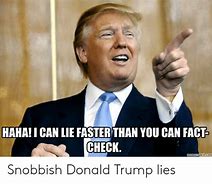 Image result for Lies and Fact Meme