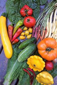 Image result for Easiest Vegetables to Grow for Beginners