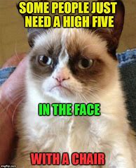 Image result for Grumpy Cat Is Happy