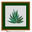 Image result for Succulent Cross Stitch Pattern