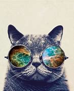 Image result for Cat with Glasses Wallpaper Funny
