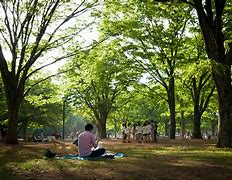 Image result for Best Parks in Tokyo
