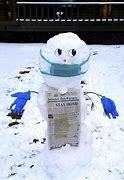 Image result for Snowman Contest