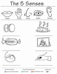 Image result for Five Senses Sheet