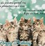 Image result for Happy Birthday with Kitty Cats