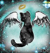 Image result for Anime Angel Cat