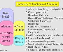 Image result for albuminoife