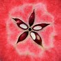 Image result for Red Apple Blossom