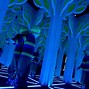 Image result for Mirror Maze