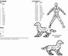 Image result for Hit Location Chart Clip Art