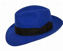 Image result for Zookeeper Hat