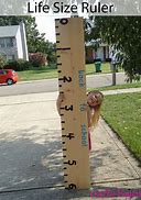 Image result for Life Scale Ruler