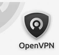 Image result for OpenVPN Icon