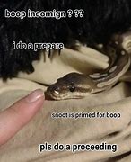 Image result for Boop to the Snake Meme