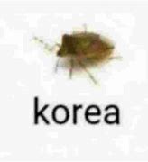 Image result for Naming Bugs Meme