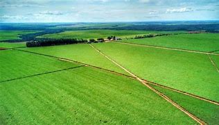 Image result for 10,000 Hectares